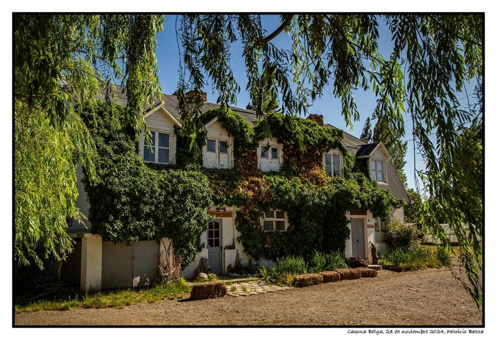 Casona Belga Hotel Boutique y Restaurante - 4