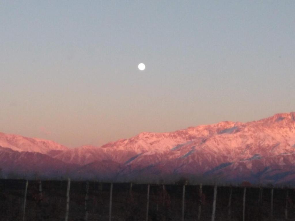La Bodeguita y El Bodegón Casa Tika - 3