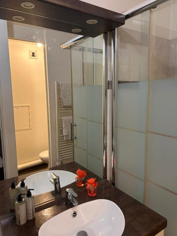 Appartement entier Saint-Denis, stade France - 3