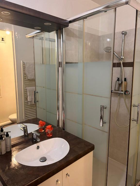Appartement entier Saint-Denis, stade France - 4