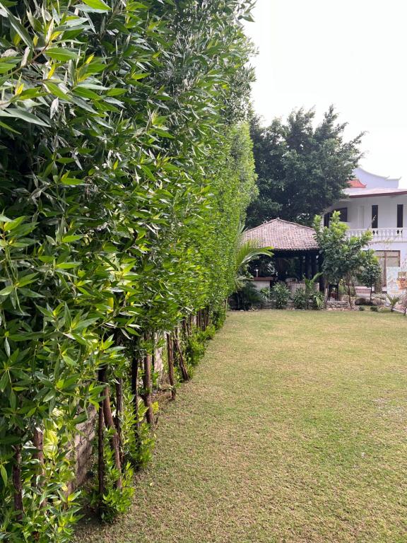 Surrounding environment