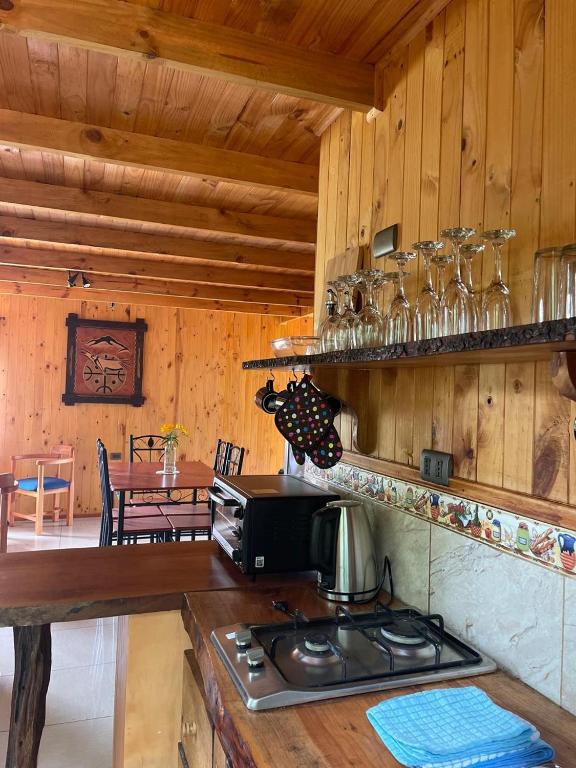 Valle de los Volcanes Lodge - 5