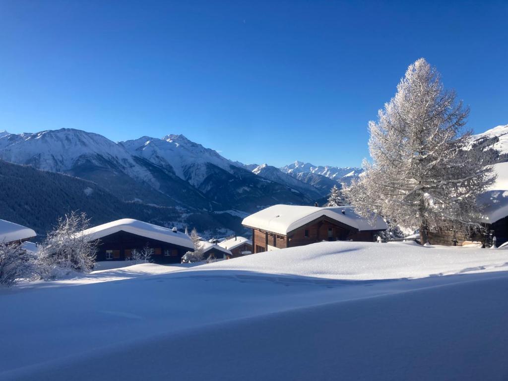 Chalet Waldesruh - 2