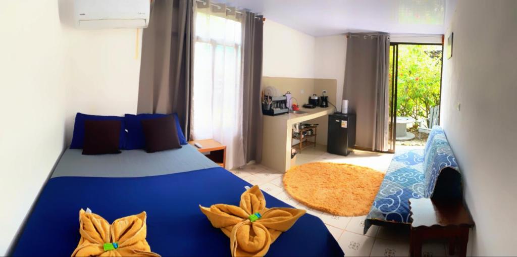 Anluka Estudio, Puerto Jiménez