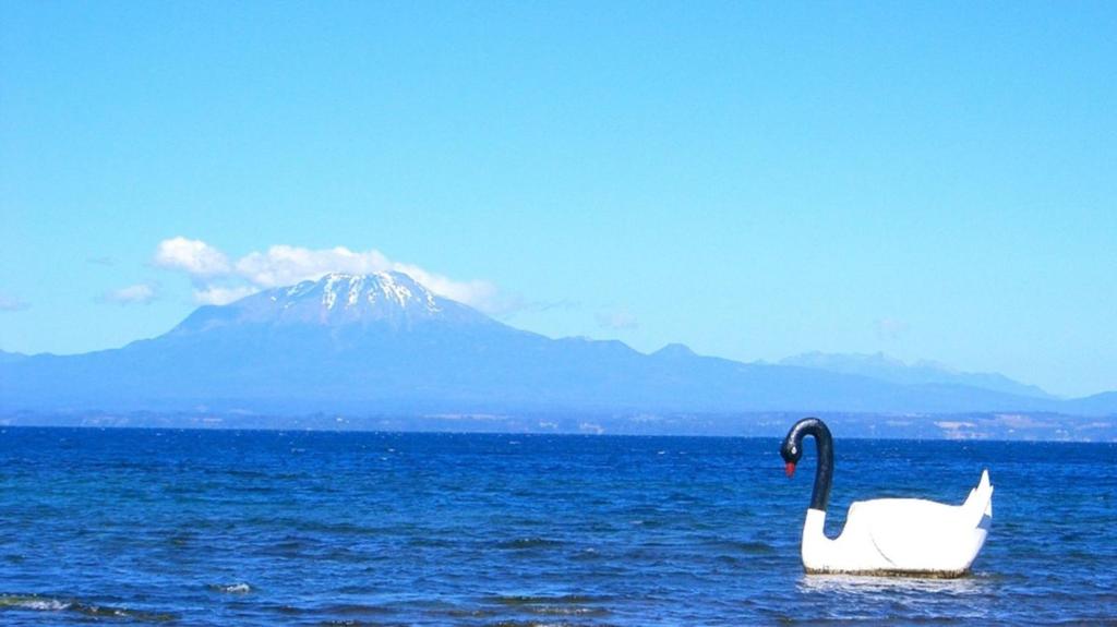 Cabañas Volcanes del Sur, - 3