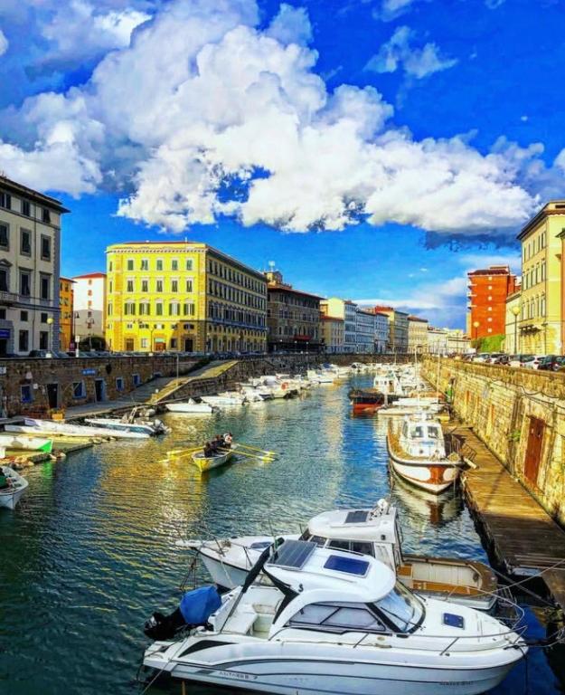 New Livorno - 4