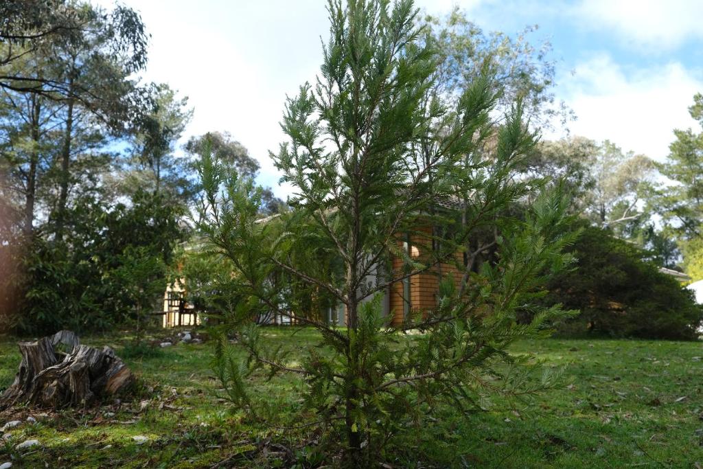 Sequoia Lane, Hepburn