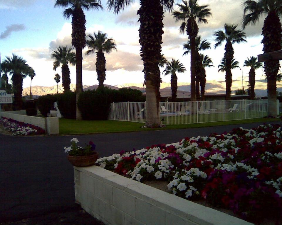 Stanlunds Inn and Suites photo