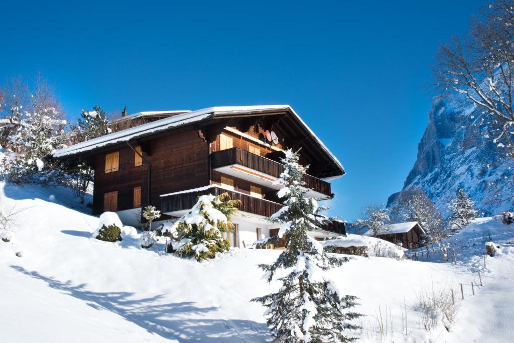 MOM - Alpine Boutique Apartments, Grindelwald gletscher, Eiger View Terrace Studio photo