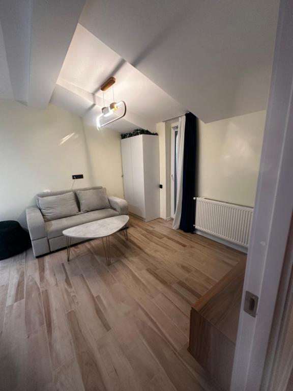 X2 apartment Bakuriani, Bakuriani