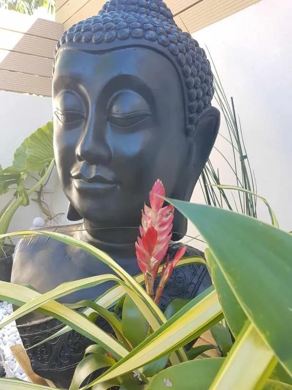 Le Ti' Cardinal，位于圣菲利普的酒店