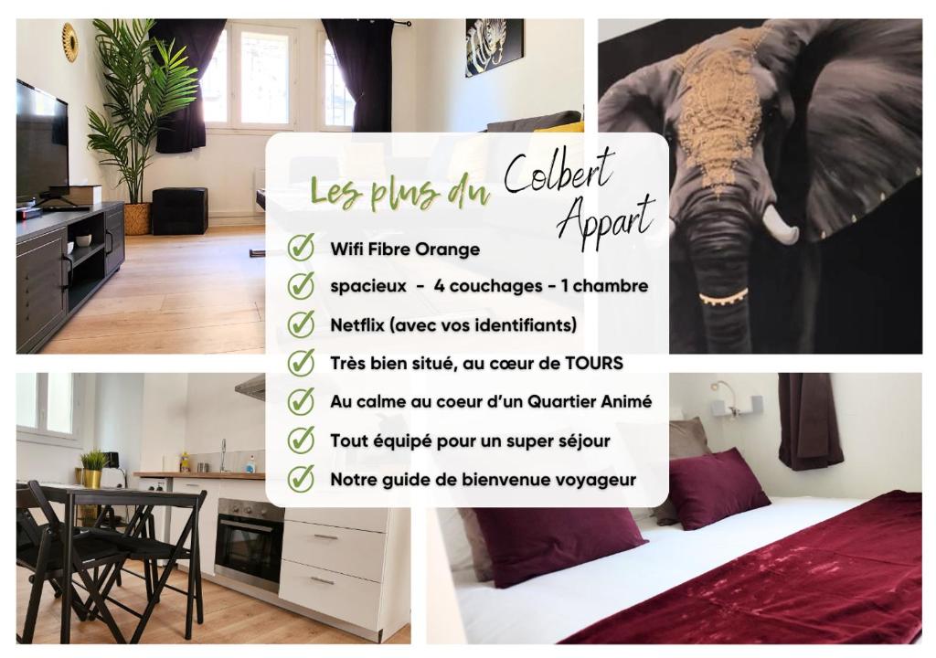 "Colbert' Appart" 1 chambre - Refait à neuf - proche Cathédrale Saint Gatien - 3