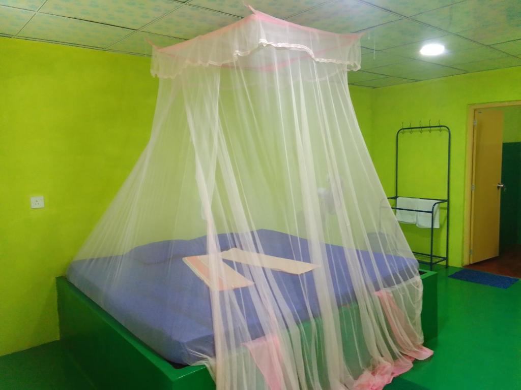 Ảnh 2