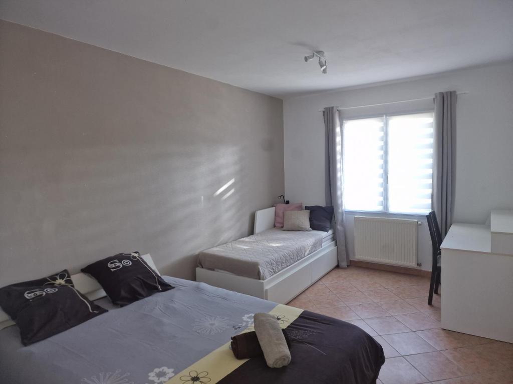 Les Pins grand duplex T5 avec jardin les plages à pied - 5