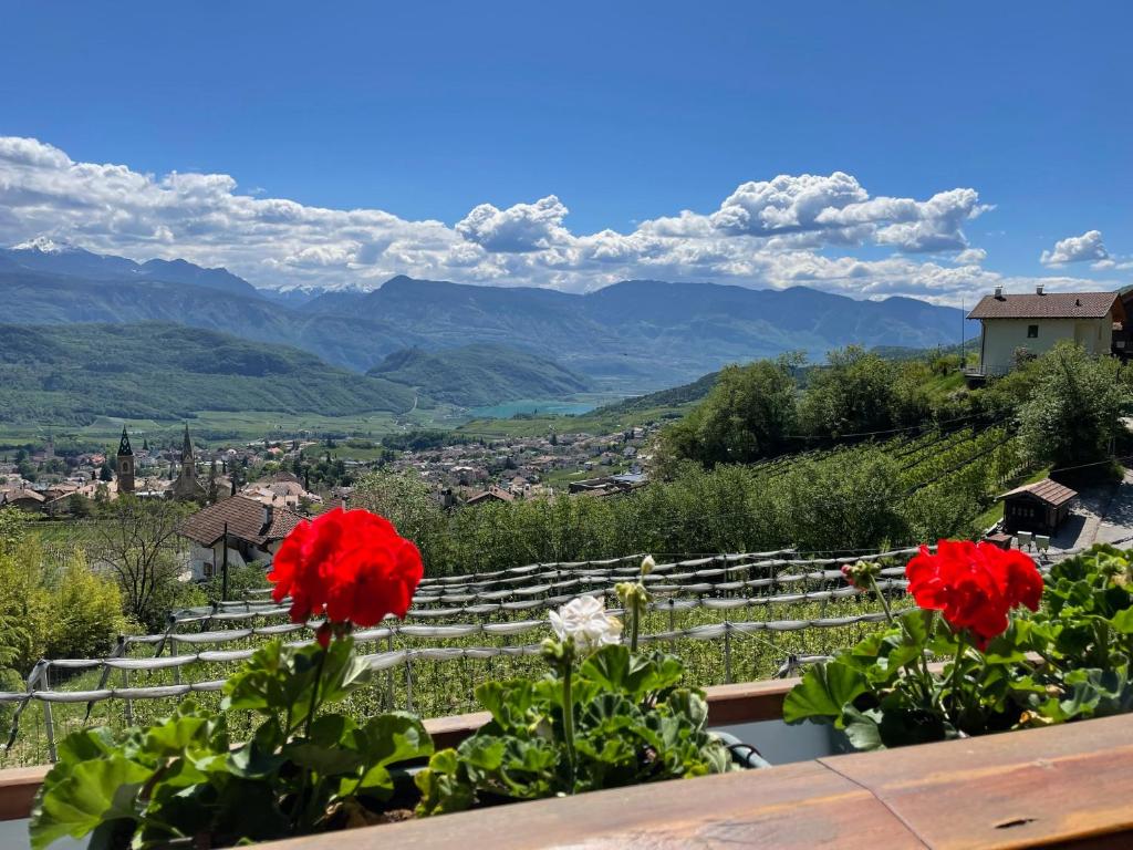 Weißhaus Hof, Caldaro