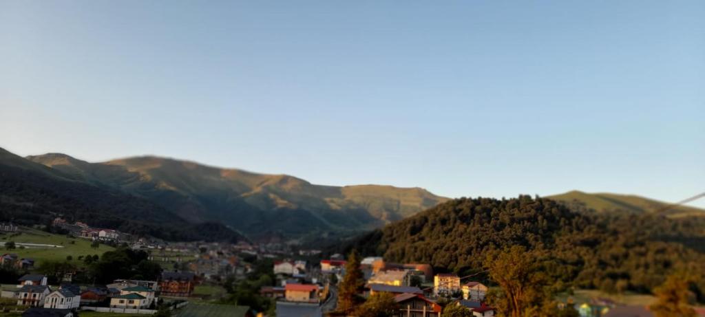 Cottage in Bakuriani, Bakuriani