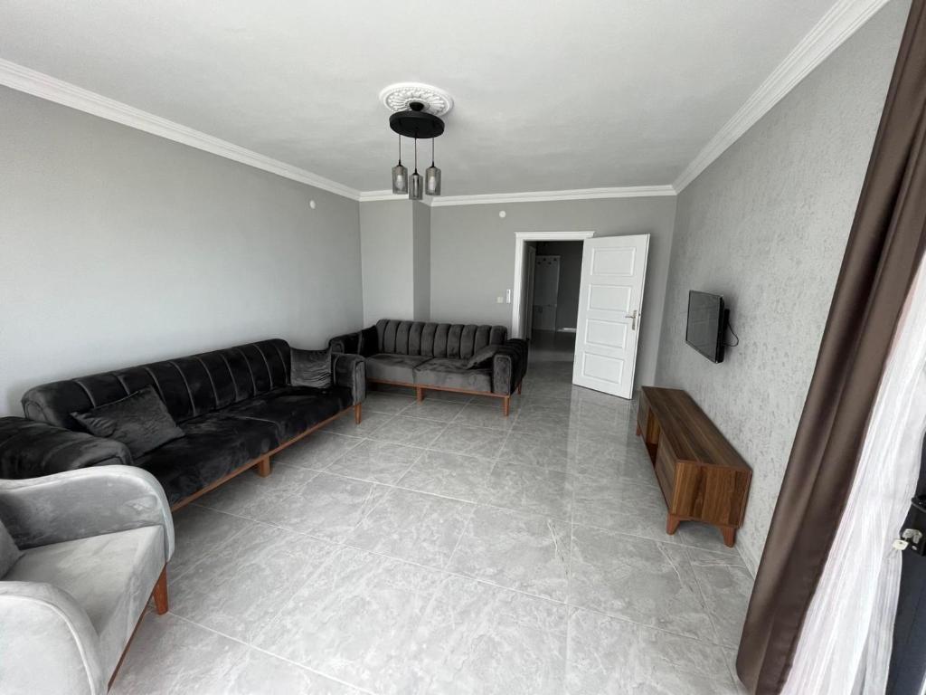 Flyway Apart, Pelitli