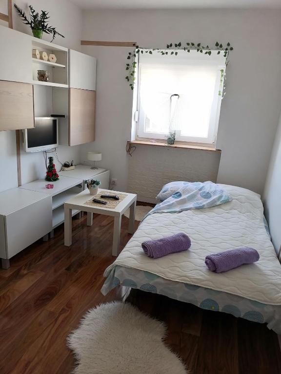 Small low cost studio Dorcol, Bělehrad