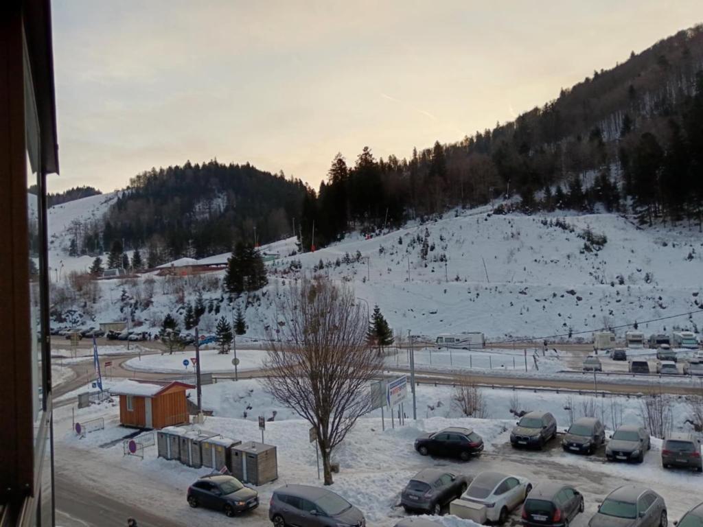 La marmotte Studio cosy vue montagne & parking - 5