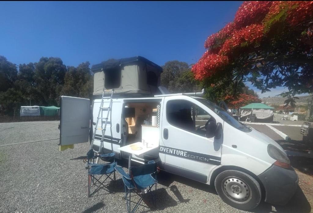 Camper, Las Palmas de Gran Canaria
