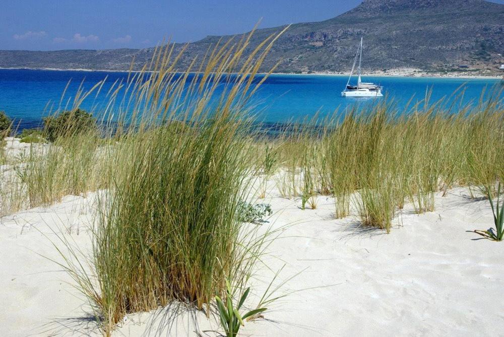 Simosmare Resort photo