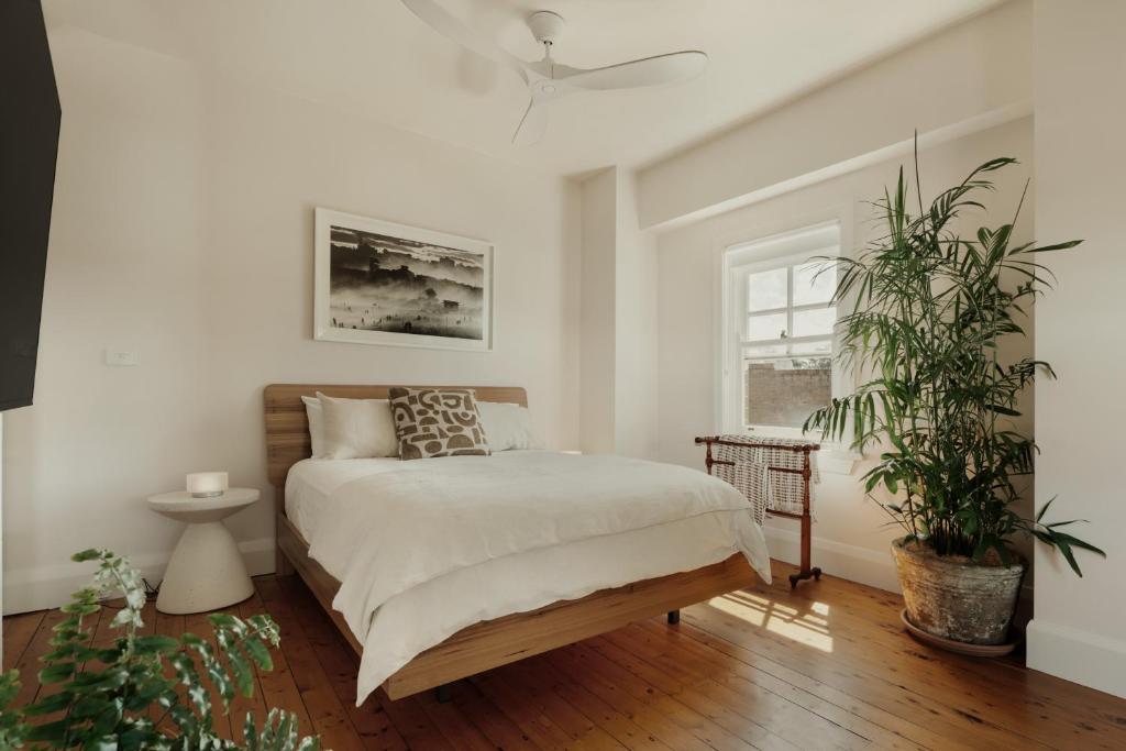 The Berkley Studio, Sydney