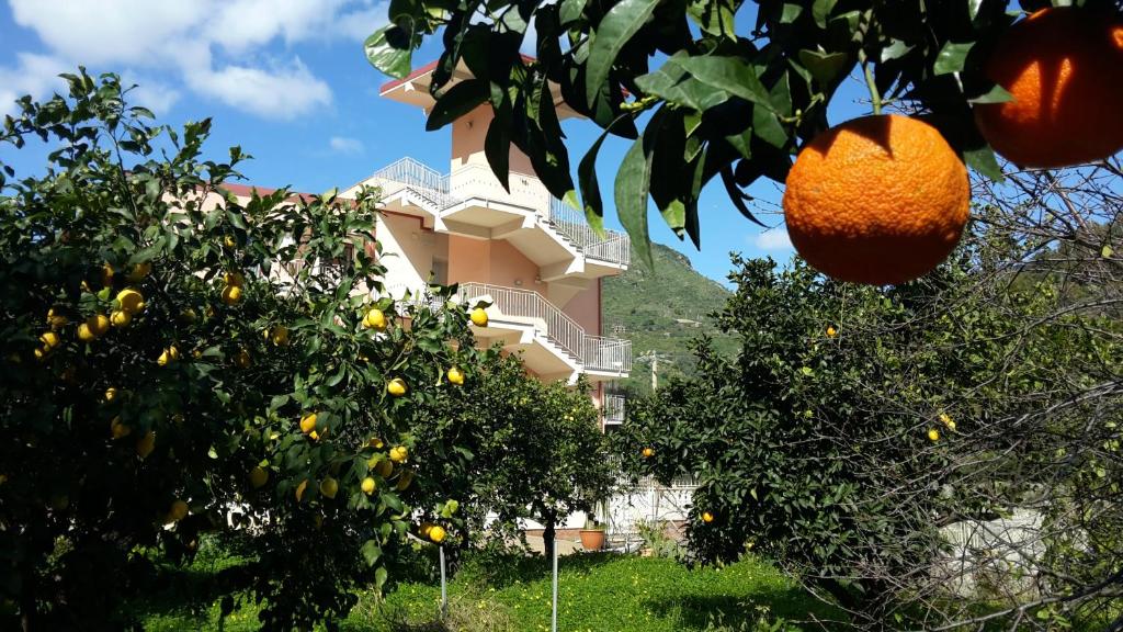 Residence Villa Mare Taormina - 4