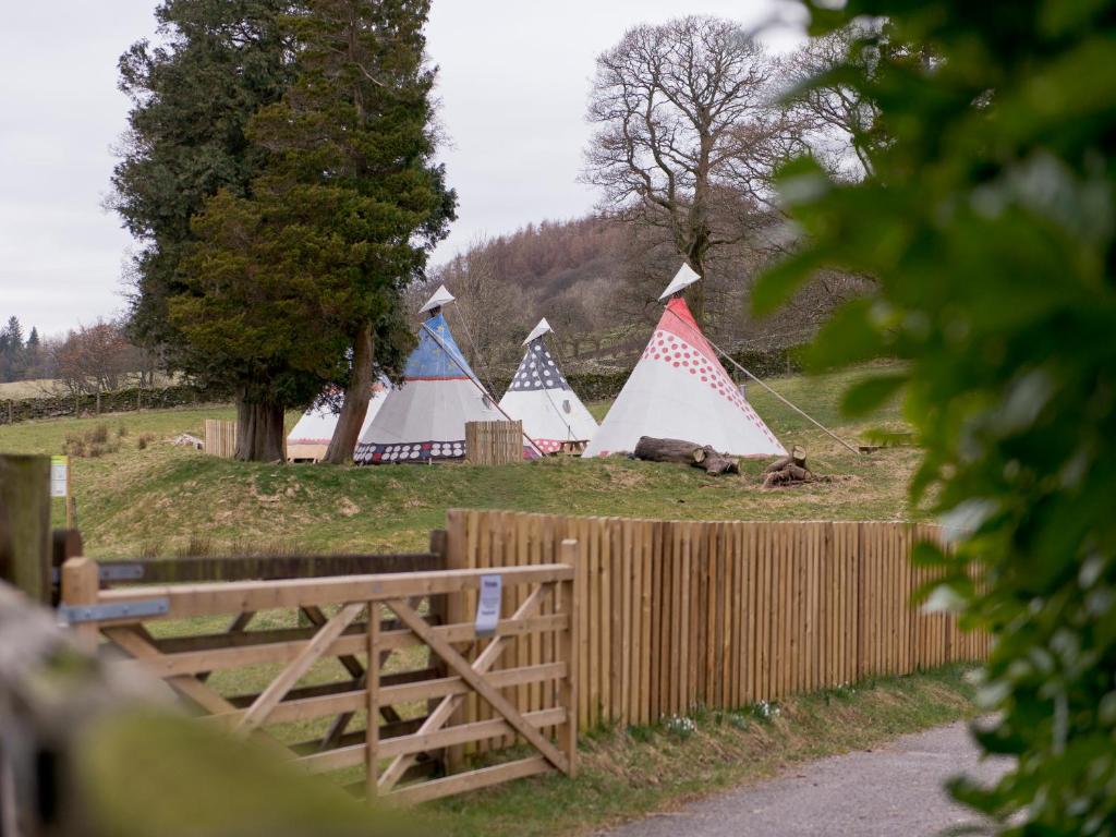 Surrounding environment