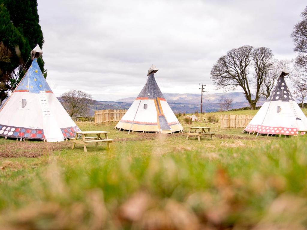 Surrounding environment