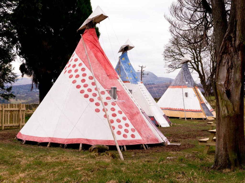 Surrounding environment