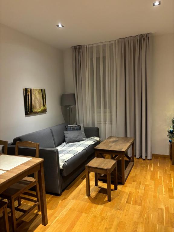BRZECE SKI GONDOLA & FREE PARKING apartment - 2