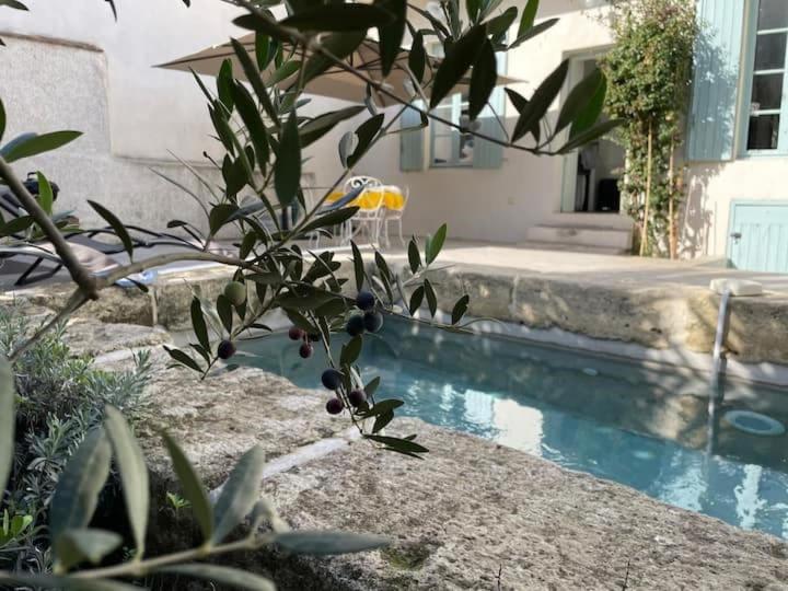 La Provence centre ville, piscine, jardin, terrasse - 3