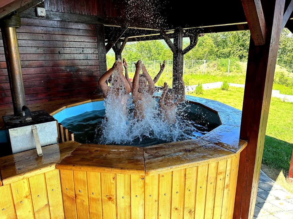 Vila David 2 Comarnic, Comarnic