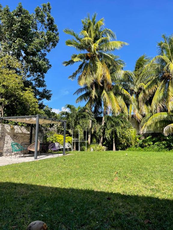 CoCo Cozy Apartment Centric and Private, Cozumel