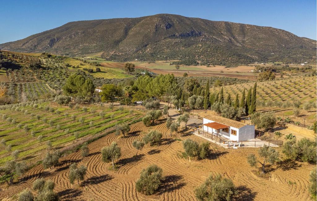 Lovely Home In Algodonales With Wifi, Algodonales