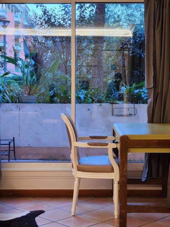 Calm and cosy 60m2 apartment near Matabiau station - 5