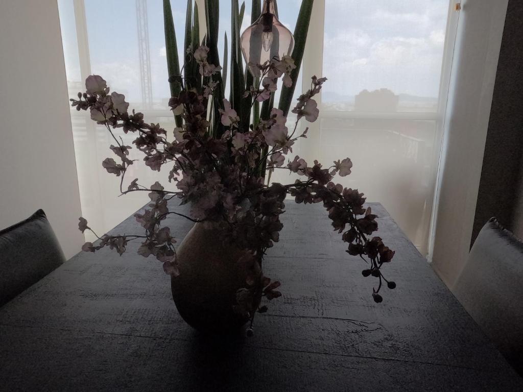 Habitaciones SkY VIEW - 3