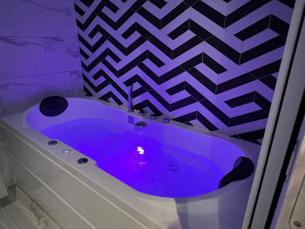 ROMEO 300 m du lac jacuzzi garage - 1