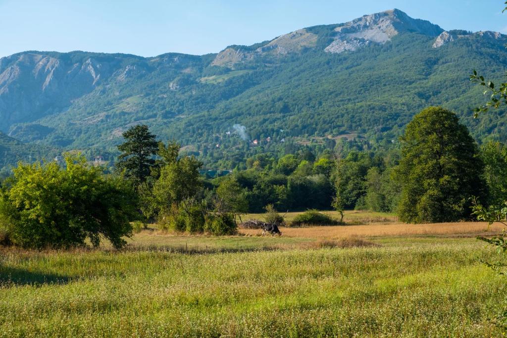 KUĆA ZA ODMOR IVA - 3