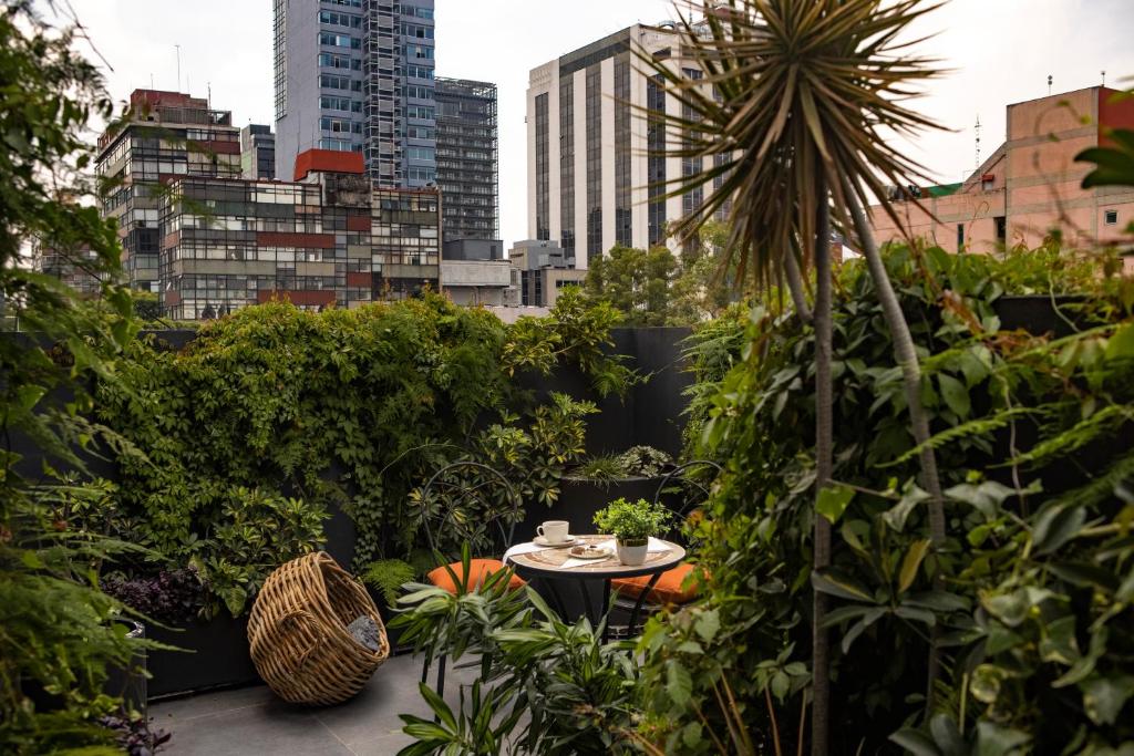 Reforma Guest House - 2
