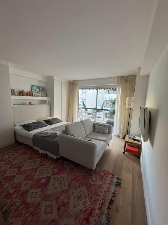 Superbe studio pour congrés au coeur de Cannes - 3