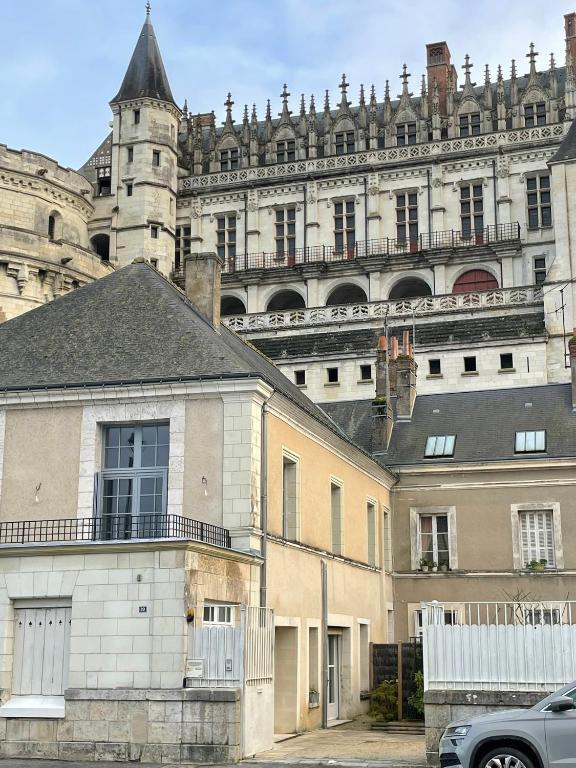 Le Grenier à Sel d'Amboise 5 pers PMR, parking privé, terrasse, maison historique - 2