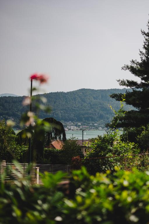 Die Labsalerie - Urlauben am Wörthersee - 3