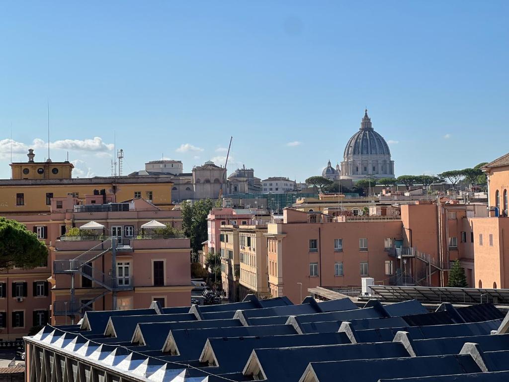 Dome View - 2