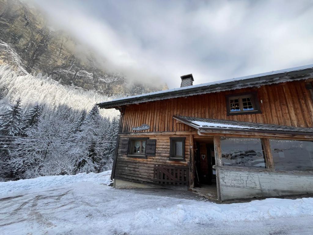 Chalet Les Lanchettes - 2