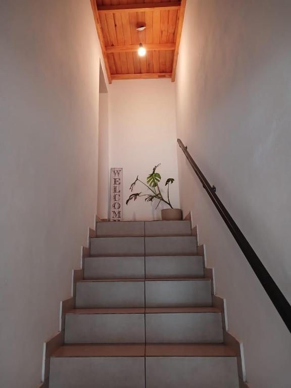 Departamento El Serbal - 2