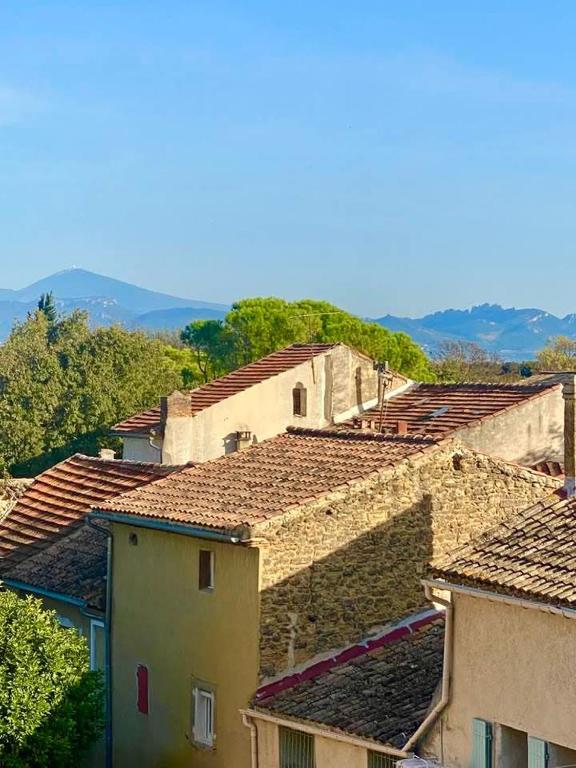 La troglodyte, Sérignan-du-Comtat