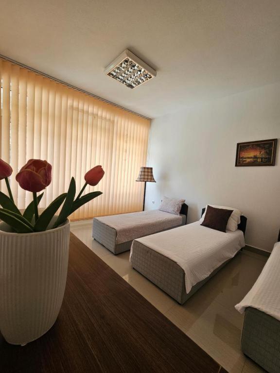 Aisham apatment, Košelji