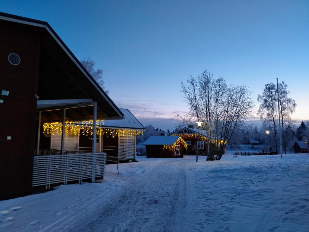 Taiga Resort 5
