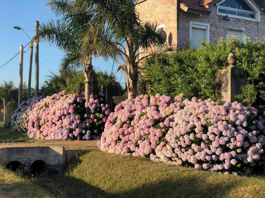 Casa a media cuadra del mar y Ruta 10, entre Manantiales y José Ignacio - 1